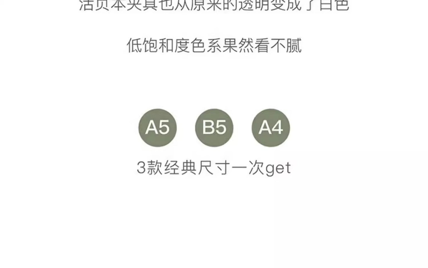 KINGJIM  loose-leaf notebook CN9854TE